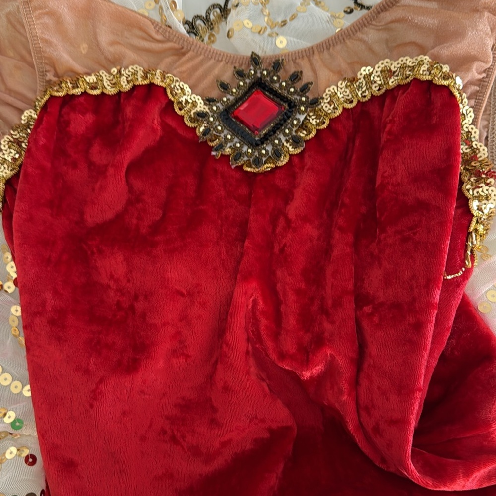 Elegant Red And Gold Tutu - image 7